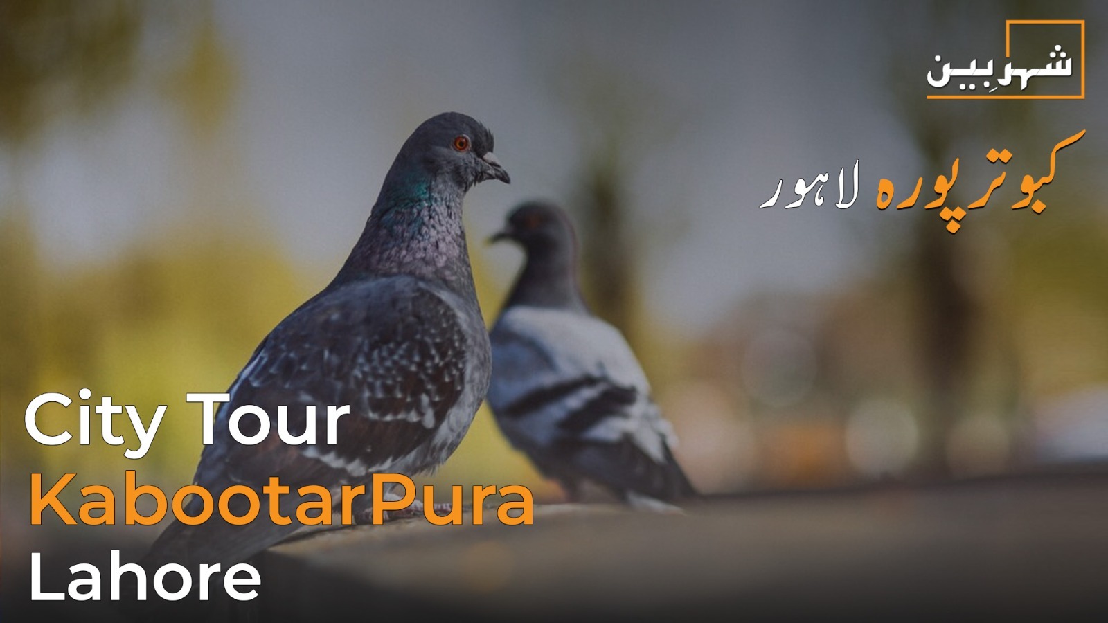 KabootarPura, Lahore – A Cultural City Tour | SheherBeen Series